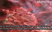 Khám phá chuyện ăn uống của bé ở trong bụng mẹ Khám phá chuyện ăn uống của bé ở trong bụng mẹ